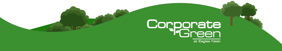 Welcome to Corporate Green, Tyler